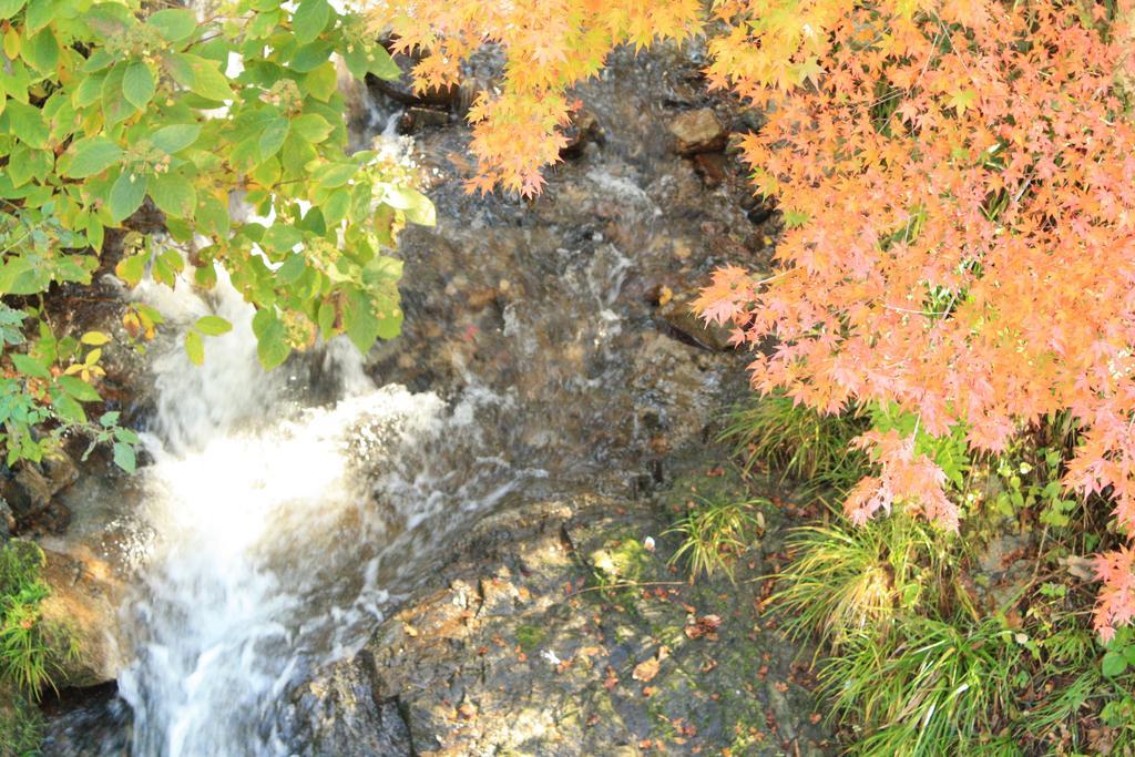 Yamadaya Ryokan Hitachiota Dış mekan fotoğraf