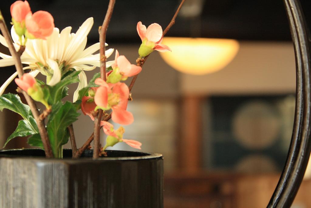 Yamadaya Ryokan Hitachiota Dış mekan fotoğraf